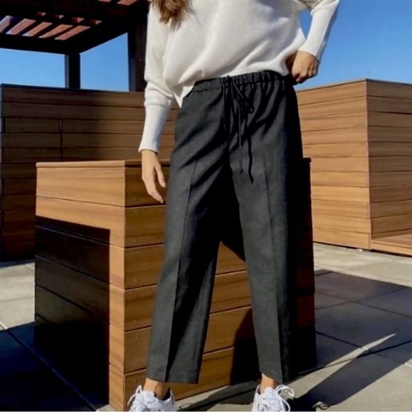 Aritzia The Group Babaton Jimmy Pants Sz. Medium - Picture 4 of 9